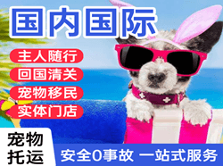 奇台江机场快递国际宠物托运 【国